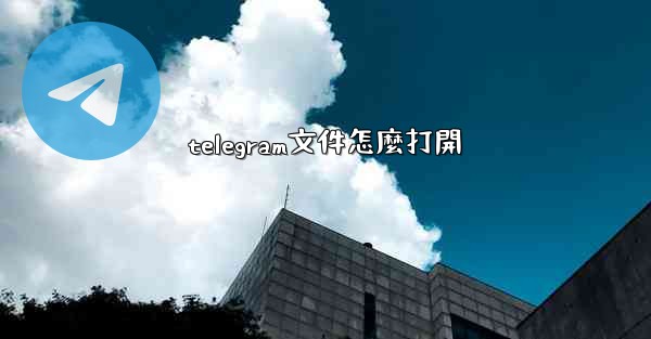 telegram文件怎麼打開