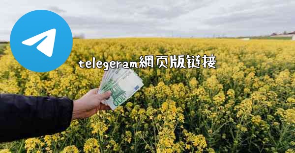 telegeram網页版链接